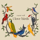 I Love Birds
