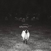 qdqynta¿? (interlude)