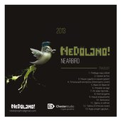 Nearbird, 2013