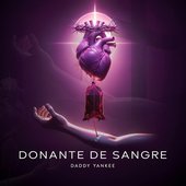 Donante de Sangre