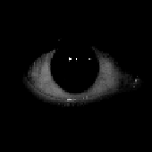 Avatar di Glowing_Soul