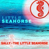 Little Seahorse