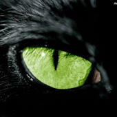Avatar for armataaa17