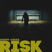 cover for the song Risk