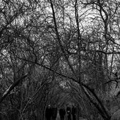 foto-02.jpg