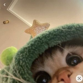 montheeew 的头像