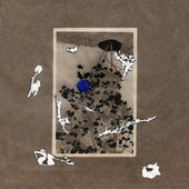 MUYU