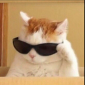 CatnipHQ さんのアバター