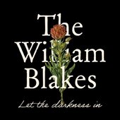 Let the darkness in