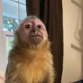 jjayaaaaaaaaaa 的头像