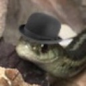 pfp.png
