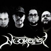 Mexican Band