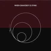 When Snakeboy is Dying