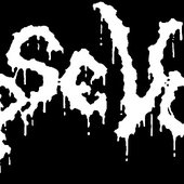 Denmark band logo