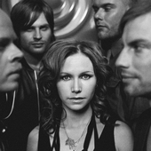  The Cardigans