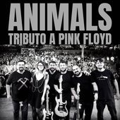 Animals Tributo a Pink Floyd 4.jpg