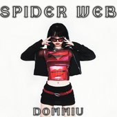 SPIDER WEB
