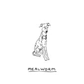 Mealworm