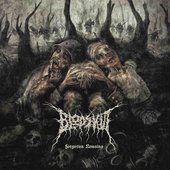 Forgotten Remains