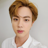 seokjinsremedy için avatar