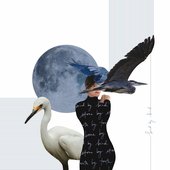 Bird by Bird