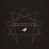 Cosmonautica