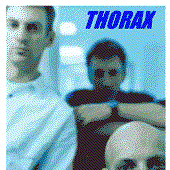 Thorax (aus Hamburg)
