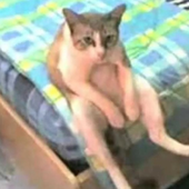 ayelen_snz 的头像