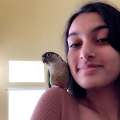 Avatar for savi_patil