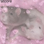 ratcore