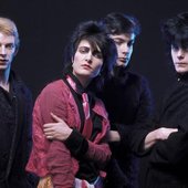 Siouxsie and the Banshees