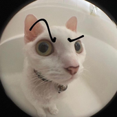 mr_minutemaid 的头像