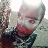WAYF.GANG