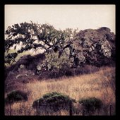 Orogeny