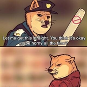 noxfox13 的头像