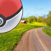 country pokeball.png