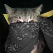 Avatar for imtooinsane
