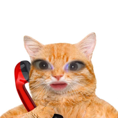 Painkinkx 的头像