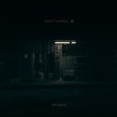 Nocturnal 夜