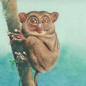 Avatar di trau