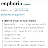 Euphoria Cover