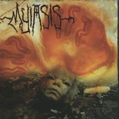 Myiasis