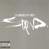 Staindcoveralbum2003.jpg