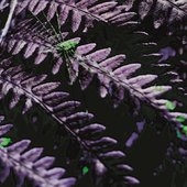 D2dVxbxWLsdrKbYm2-D1orM8OcxJFqJtvd1IKgVvwmhcUOWmsRri3iYSuGcoPLY0-0I7kx5-0_DFOZbiMoaXhoG4.jpg