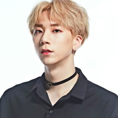 젤리 (Jelly)