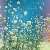 Planting