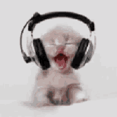 Avatar for AIItidBella