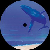 Sonic Signature - EP