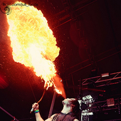 Live @ Brutal Assault, 2013