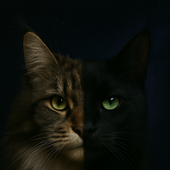 Avatar for FellCZ
